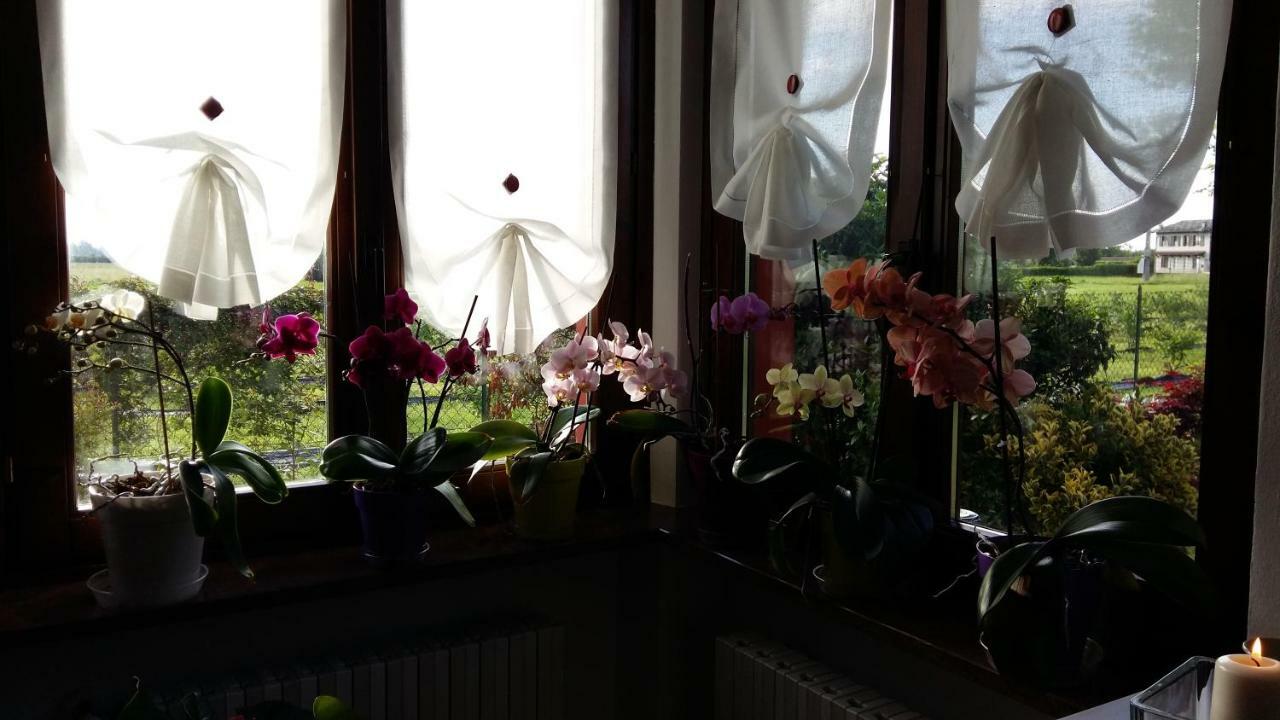 I 99 Ulivi Bed & Breakfast Cavour Bagian luar foto